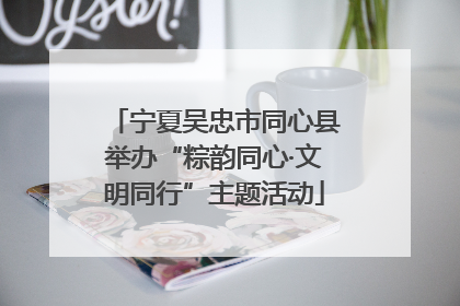 宁夏吴忠市同心县举办“粽韵同心·文明同行”主题活动