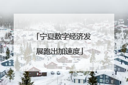 宁夏数字经济发展跑出加速度