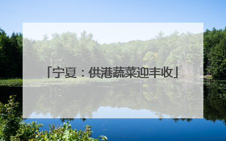 宁夏：供港蔬菜迎丰收