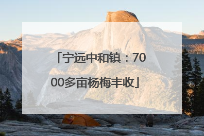 宁远中和镇：7000多亩杨梅丰收