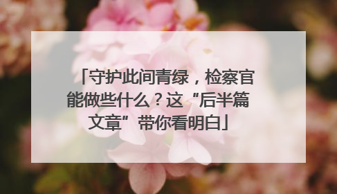 守护此间青绿，检察官能做些什么？这“后半篇文章”带你看明白