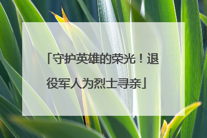 守护英雄的荣光！退役军人为烈士寻亲