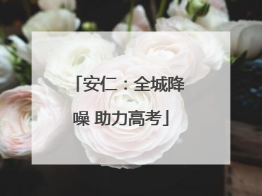 安仁：全城降噪 助力高考