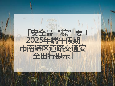 安全最“粽”要！2025年端午假期市南辖区道路交通安全出行提示