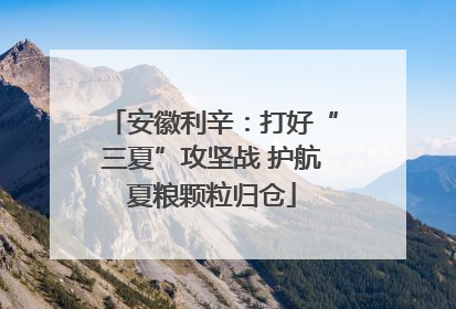 安徽利辛：打好“三夏”攻坚战 护航夏粮颗粒归仓