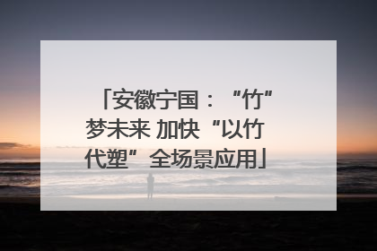 安徽宁国：“竹”梦未来 加快“以竹代塑”全场景应用