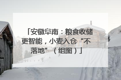 安徽阜南：粮食收储更智能，小麦入仓“不落地”（组图）