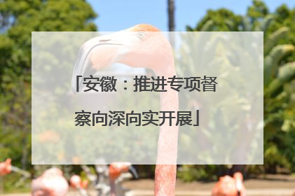 安徽：推进专项督察向深向实开展