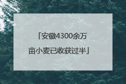 安徽4300余万亩小麦已收获过半