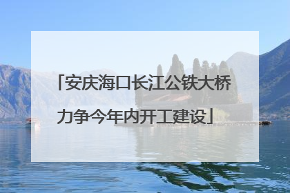 安庆海口长江公铁大桥力争今年内开工建设