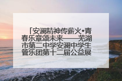 安澜精神传薪火•青春乐章颂未来——芜湖市第二中学安澜中学生管乐团第十二届公益展演圆满举行