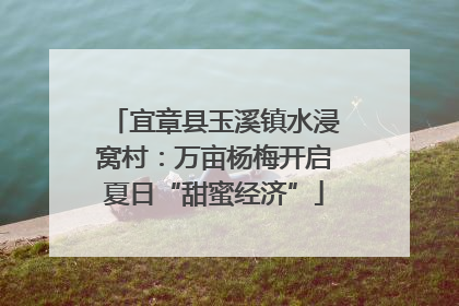 宜章县玉溪镇水浸窝村：万亩杨梅开启夏日“甜蜜经济”