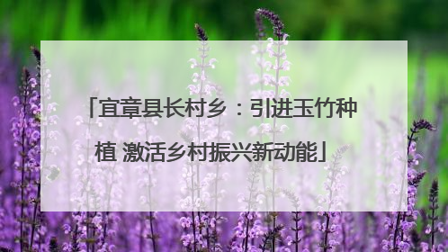宜章县长村乡：引进玉竹种植 激活乡村振兴新动能