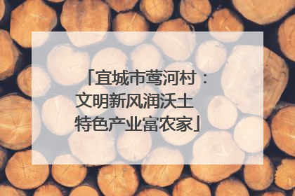 宜城市莺河村：文明新风润沃土 特色产业富农家