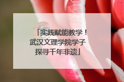 实践赋能教学！武汉文理学院学子探寻千年非遗