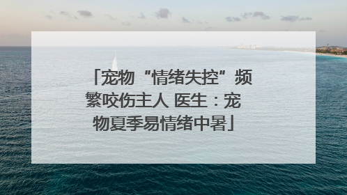 宠物“情绪失控”频繁咬伤主人 医生：宠物夏季易情绪中暑