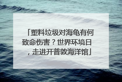 塑料垃圾对海龟有何致命伤害？世界环境日，走进开普敦海洋馆