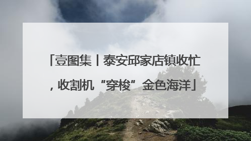 壹图集丨泰安邱家店镇收忙，收割机“穿梭”金色海洋