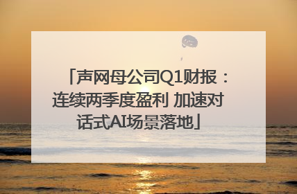声网母公司Q1财报：连续两季度盈利 加速对话式AI场景落地