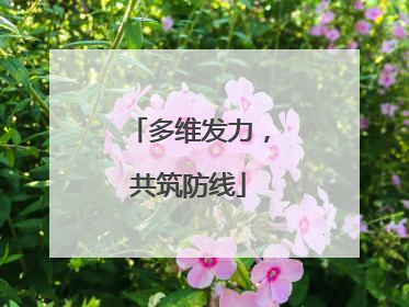 多维发力，共筑防线