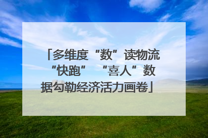 多维度“数”读物流“快跑” “喜人”数据勾勒经济活力画卷