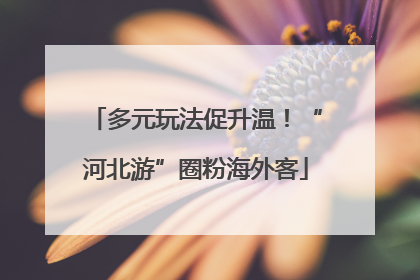 多元玩法促升温！“河北游”圈粉海外客