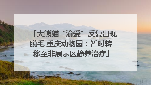 大熊猫“渝爱”反复出现脱毛 重庆动物园：暂时转移至非展示区静养治疗