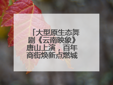 大型原生态舞剧《云南映象》唐山上演，百年商街焕新点燃城市艺术激情