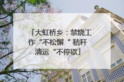 大虹桥乡：禁烧工作“不松懈“ 秸秆清运“不停歇