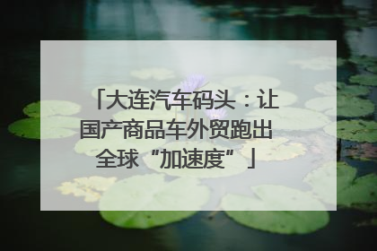 大连汽车码头：让国产商品车外贸跑出全球“加速度”