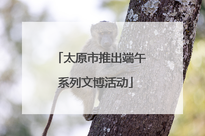 太原市推出端午系列文博活动