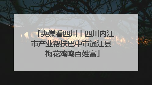 央媒看四川丨四川内江市产业帮扶巴中市通江县 梅花鸡鸣百姓富