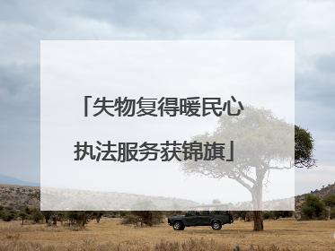 失物复得暖民心 执法服务获锦旗