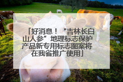 好消息！“吉林长白山人参”地理标志保护产品新专用标志图案将在我省推广使用