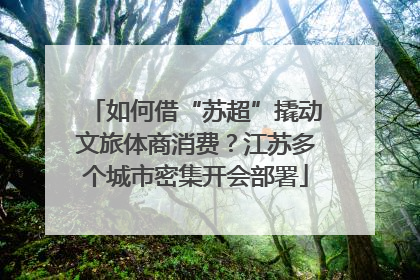 如何借“苏超”撬动文旅体商消费？江苏多个城市密集开会部署