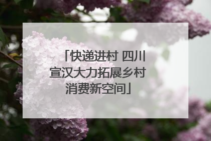 快递进村 四川宣汉大力拓展乡村消费新空间