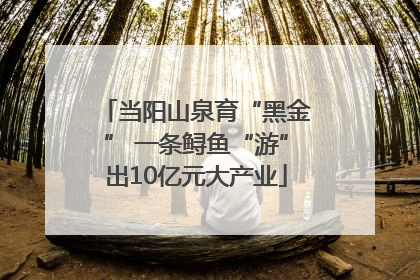 当阳山泉育“黑金” 一条鲟鱼“游”出10亿元大产业