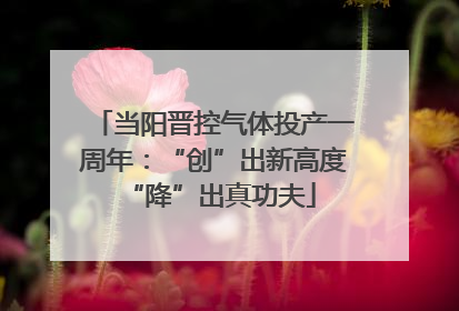 当阳晋控气体投产一周年：“创”出新高度 “降”出真功夫
