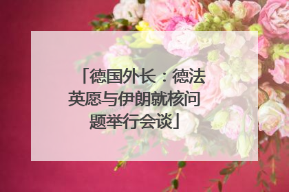德国外长：德法英愿与伊朗就核问题举行会谈
