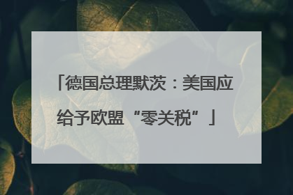 德国总理默茨：美国应给予欧盟“零关税”
