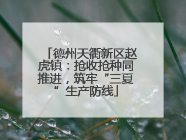 德州天衢新区赵虎镇：抢收抢种同推进，筑牢“三夏”生产防线