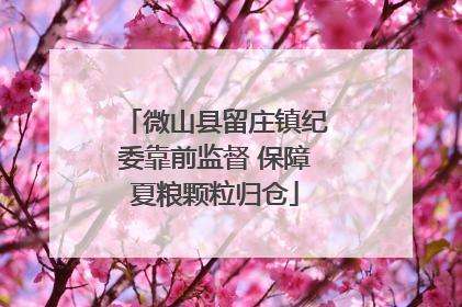 微山县留庄镇纪委靠前监督 保障夏粮颗粒归仓