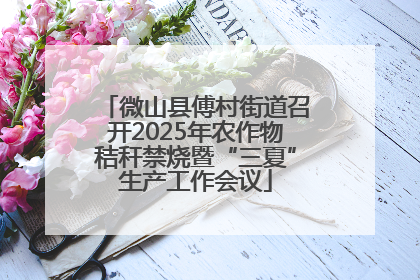 微山县傅村街道召开2025年农作物秸秆禁烧暨“三夏”生产工作会议