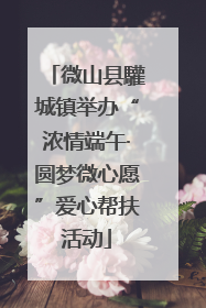 微山县驩城镇举办“浓情端午·圆梦微心愿”爱心帮扶活动