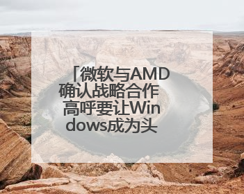 微软与AMD确认战略合作 高呼要让Windows成为头号游戏平台