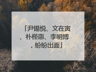 尹锡悦、文在寅、朴槿惠、李明博，纷纷出面