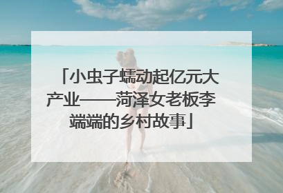 小虫子蠕动起亿元大产业——菏泽女老板李端端的乡村故事