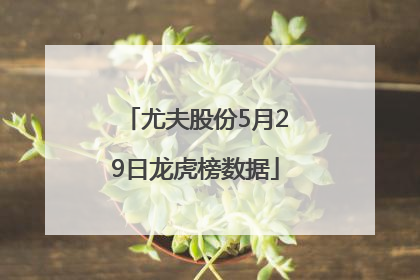 尤夫股份5月29日龙虎榜数据
