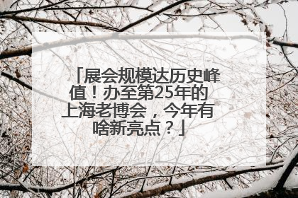 展会规模达历史峰值！办至第25年的上海老博会，今年有啥新亮点？