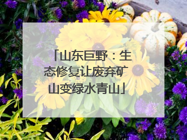 山东巨野：生态修复让废弃矿山变绿水青山